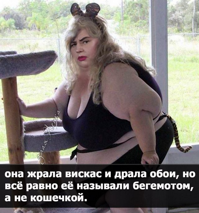 ������� ���-2 (22.08.2021)