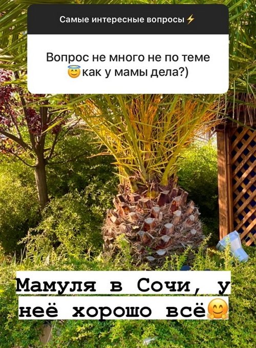 Александр Лобанов: Это не цирк, я уходил с проекта Александр Лобанов: Это не цирк, я уходил с проекта