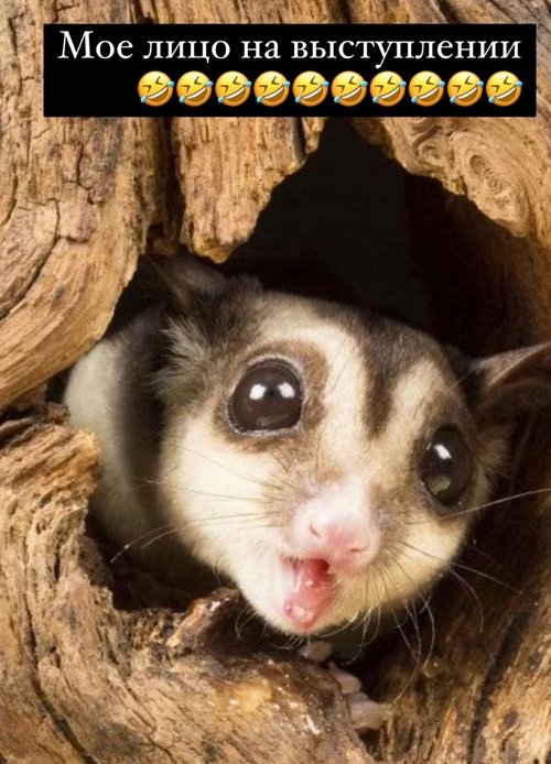 Ксения Бородина: Это не моя история Ксения Бородина: Это не моя история