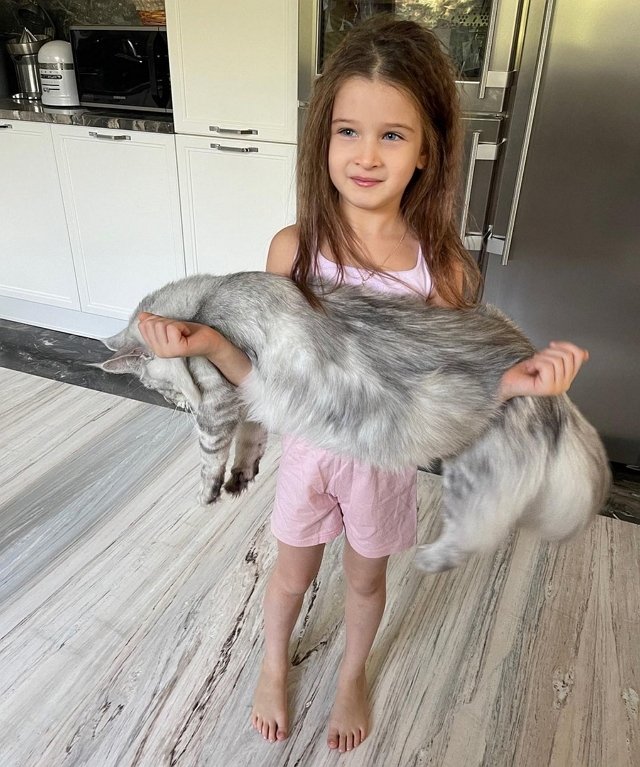 Фото детей участников Дома-2 (5.10.2021) Фото детей участников Дома-2 (5.10.2021)