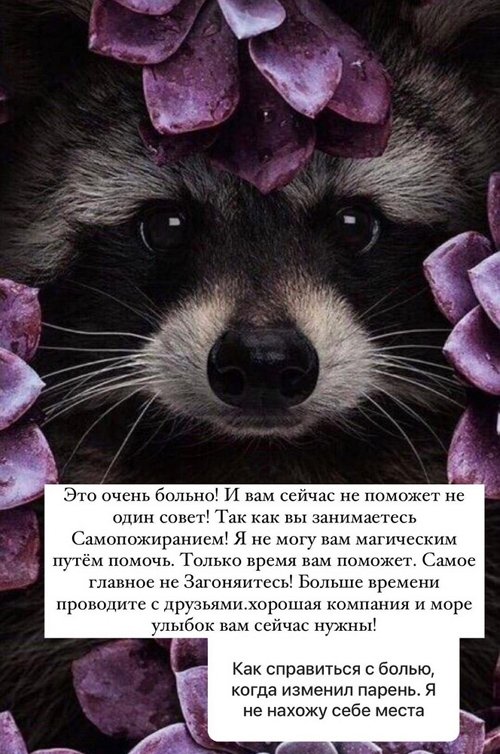 ���� �����: ����� ������� - �� �����������!