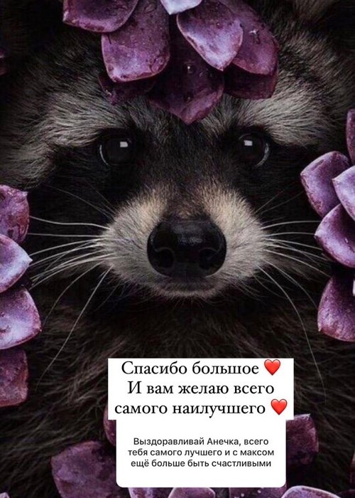 ���� �����: ����� ������� - �� �����������!