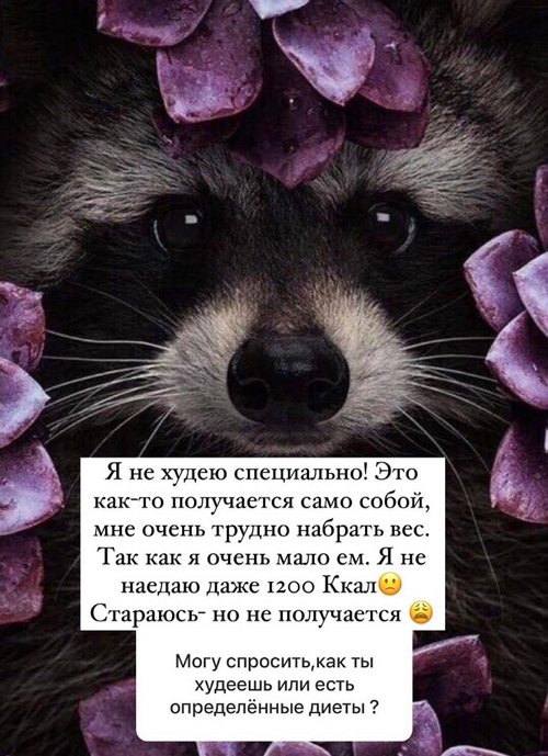 ���� �����: ����� ������� - �� �����������!