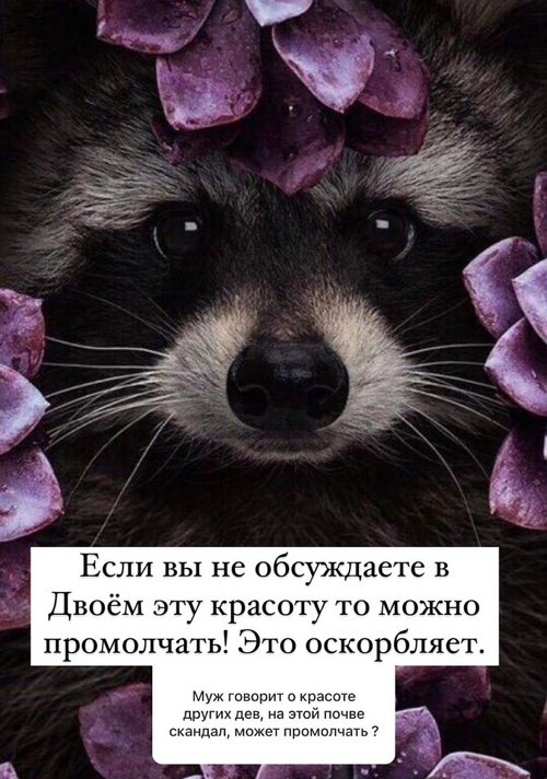 ���� �����: ����� ������� - �� �����������!