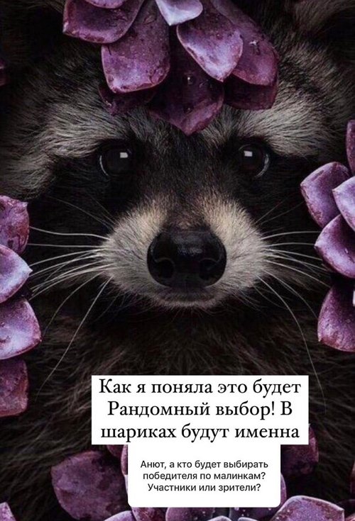 ���� �����: ����� ������� - �� �����������!