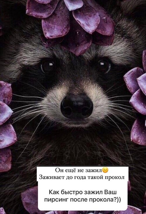 ���� �����: ����� ������� - �� �����������!