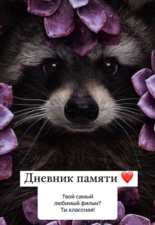 ���� �����: ����� ������� - �� �����������!