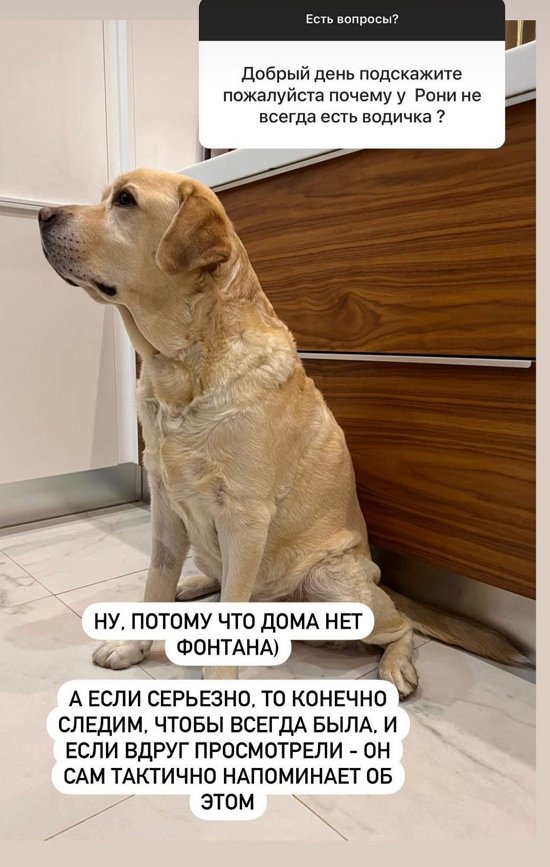 Наталья Варвина: Я была ведущей прогноза погоды Наталья Варвина: Я была ведущей прогноза погоды