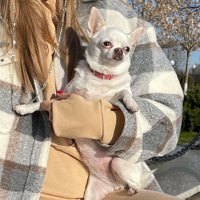 Элла Суханова: Это отсутствие воспитания или собственных интересов? Элла Суханова: Это отсутствие воспитания или собственных интересов?