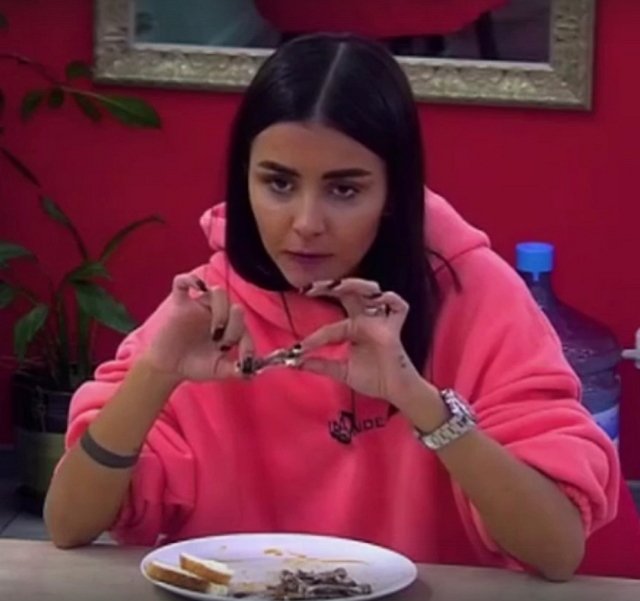 ������ � ��������� ��������� �������� (5.11.2021)