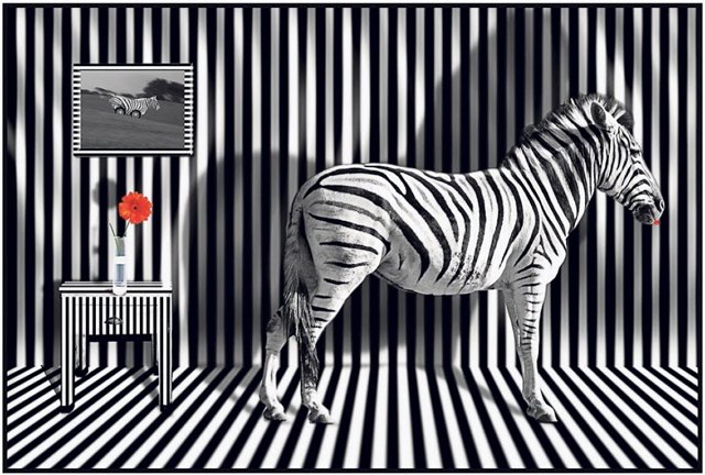 ������ � ��������� ��������� �������� (7.11.2021)