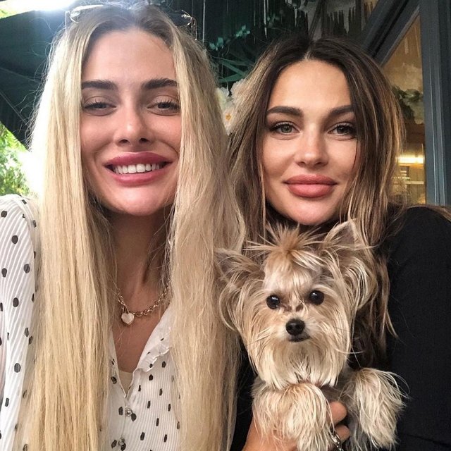 ���� �� ������ ���������� (7.11.2021)