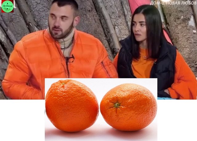 ������� ���-2 (20.11.2021)