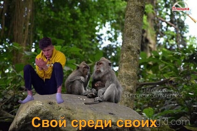 ������� ���-2 (20.12.2021)