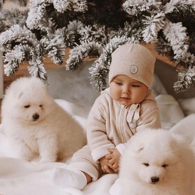 ���� ����� ���������� ����-2 (20.12.2021)