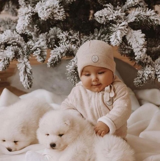 ���� ����� ���������� ����-2 (20.12.2021)