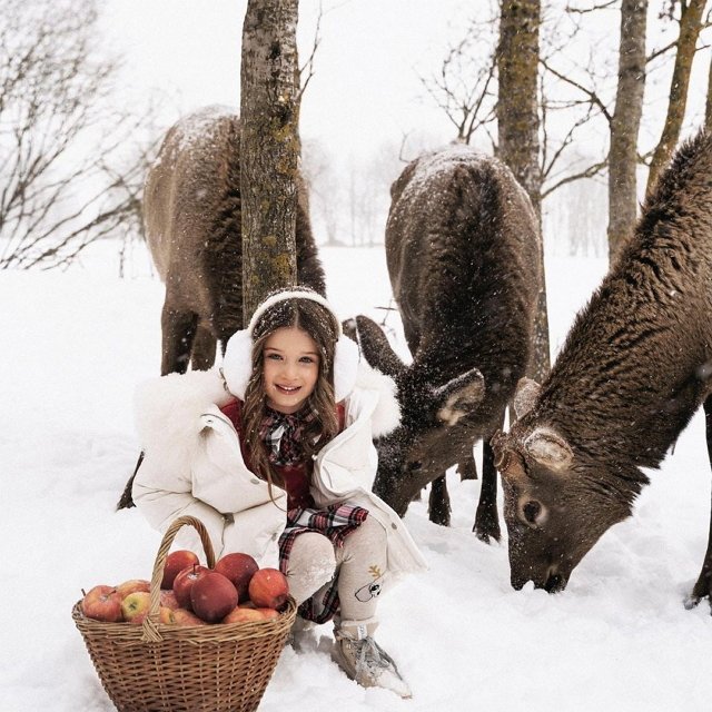 ���� ����� ���������� ����-2 (25.12.2021)