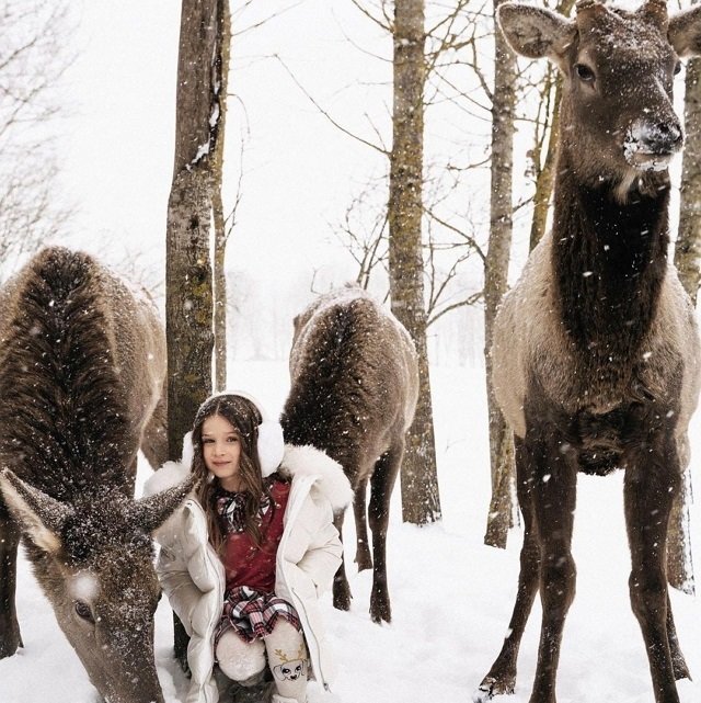 ���� ����� ���������� ����-2 (25.12.2021)