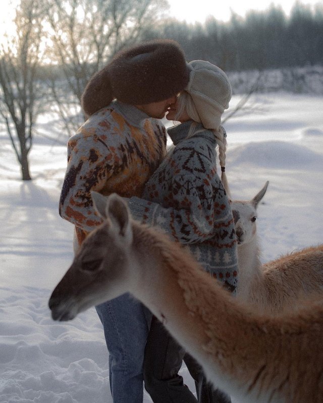 ���� ��������: � ��� ���� ��� ����� ������!