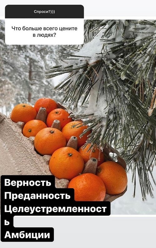 ������� ��������: ���� ���������� ���� ����������