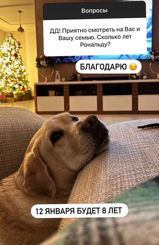 ������� �������: �� ���� ������� �� ����� ����� ���� �����