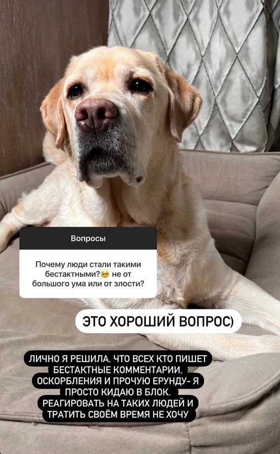 ������� �������: �� ���� ������� �� ����� ����� ���� �����