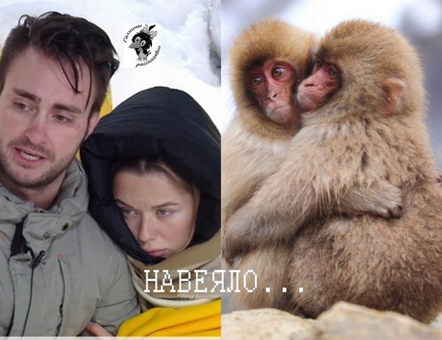 ����� �� ������������ (12.01.2022)