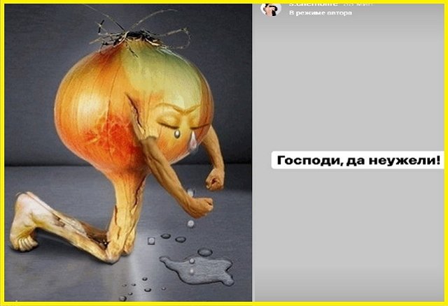 ������ � ��������� ��������� �������� (22.01.2022)