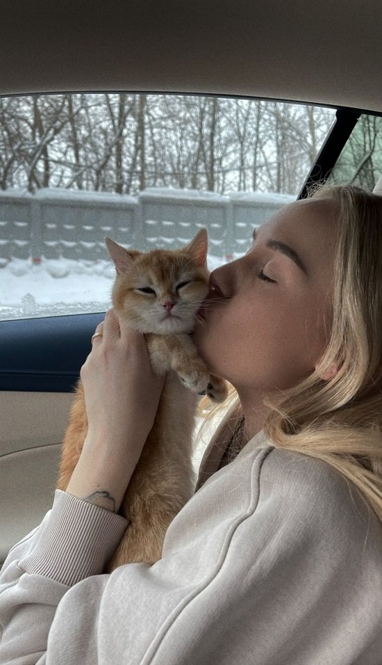 ������ �����������: ������ ������� ����� Flesh!