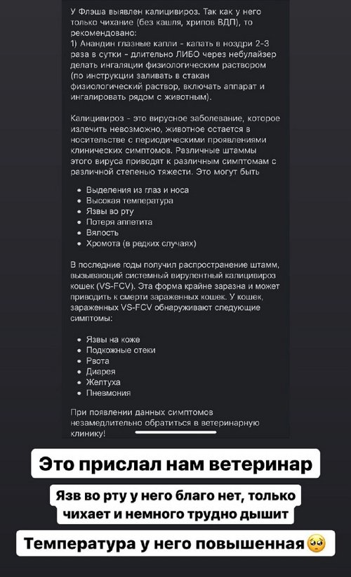 ������ �����������: � ���� ������ ������� ��� �����