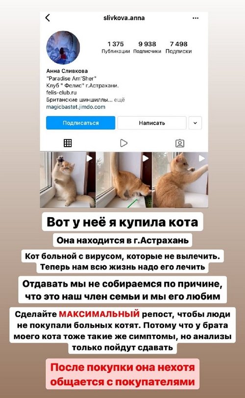 ������ �����������: � ���� ������ ������� ��� �����