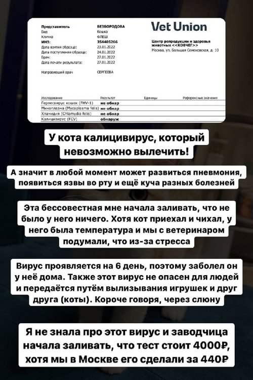 ������ �����������: � ���� ������ ������� ��� �����