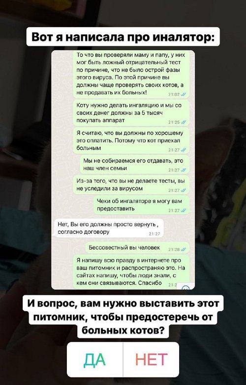 ������ �����������: � ���� ������ ������� ��� �����