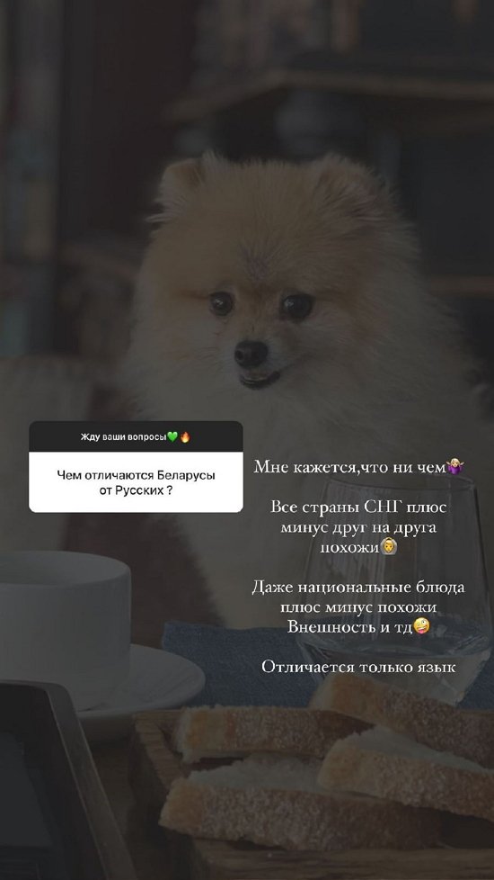 �������� ��������: ����� �����, ������� � ��������