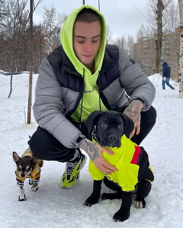 ���� �� ������ ���������� (8.02.2022)