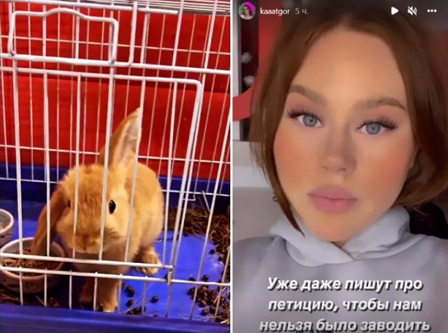 ������ ������������� �� ������ ��������� � ������ �������