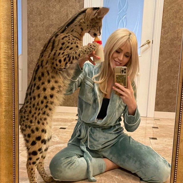 ���� �� ������ ���������� (10.02.2022)