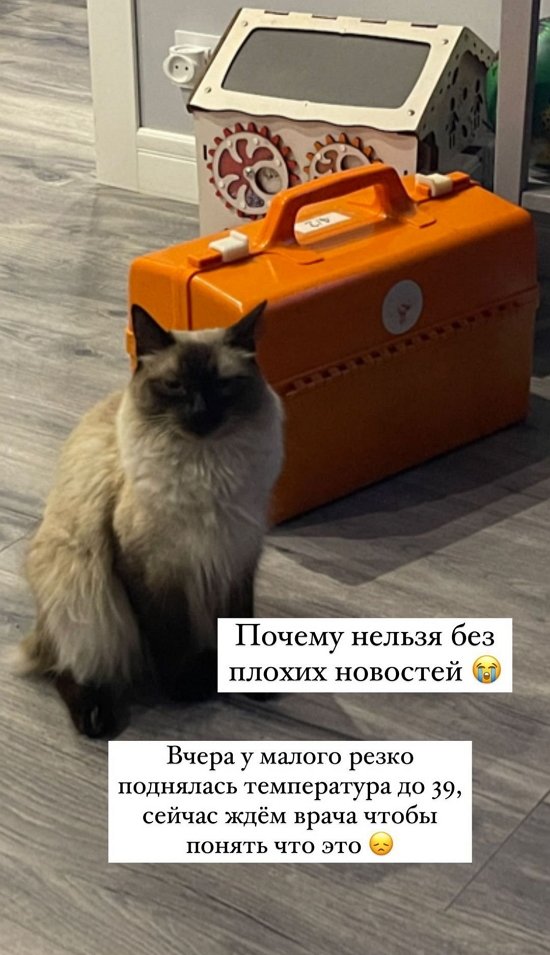 ���������� �����: ������ ������ ��� ������ ��������?