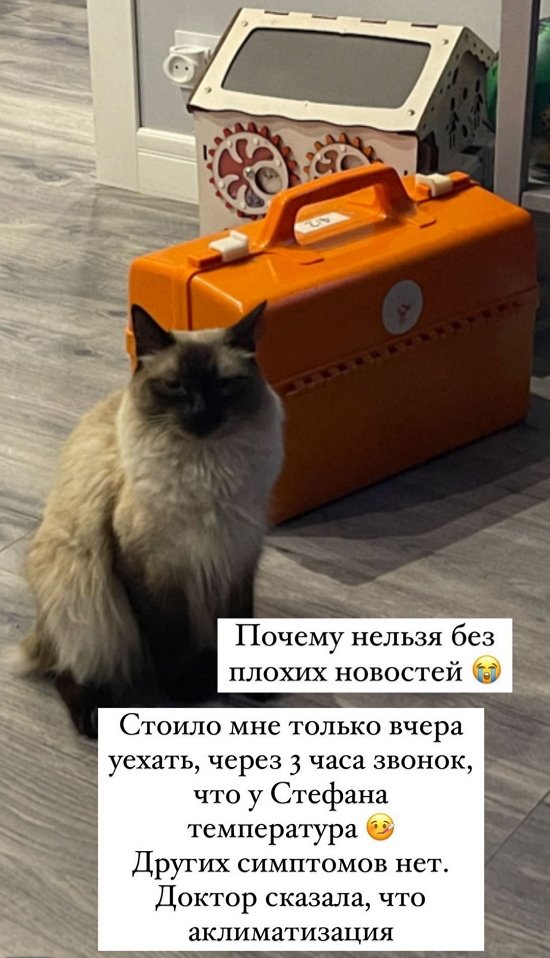 ���������� �����: ������ ������ ��� ������ ��������?