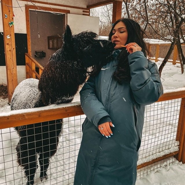 ����� ����� ���: ��������� ���������