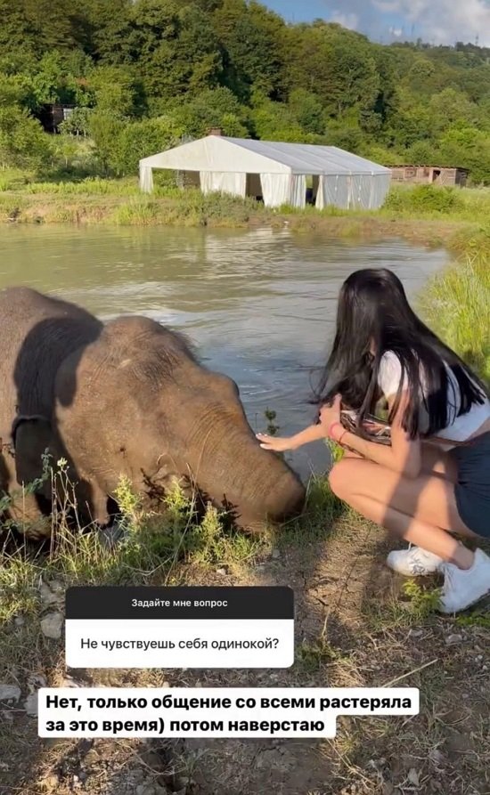 ����� ����������: ���� �� �������, ����� �������