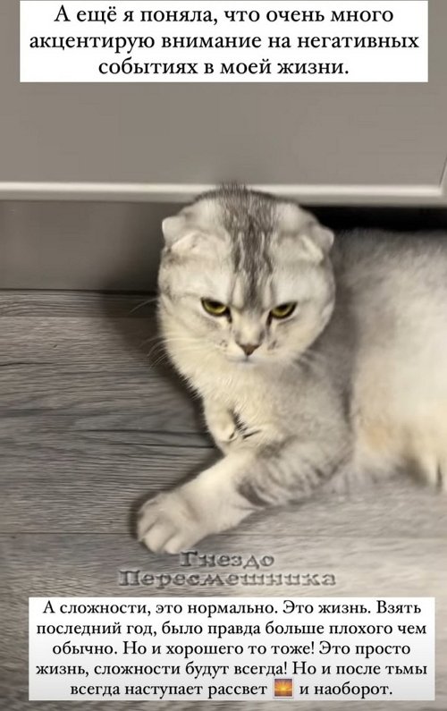 ���������� �����: � ������, ��� ���������� �������� �� ��������