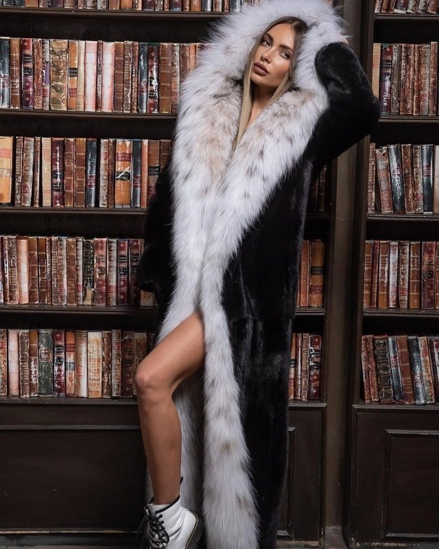 ���� �� ������ ���������� (14.02.2022)