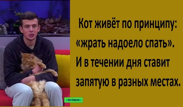 Приколы Дом-2 (18.02.2022) Приколы Дом-2 (18.02.2022)