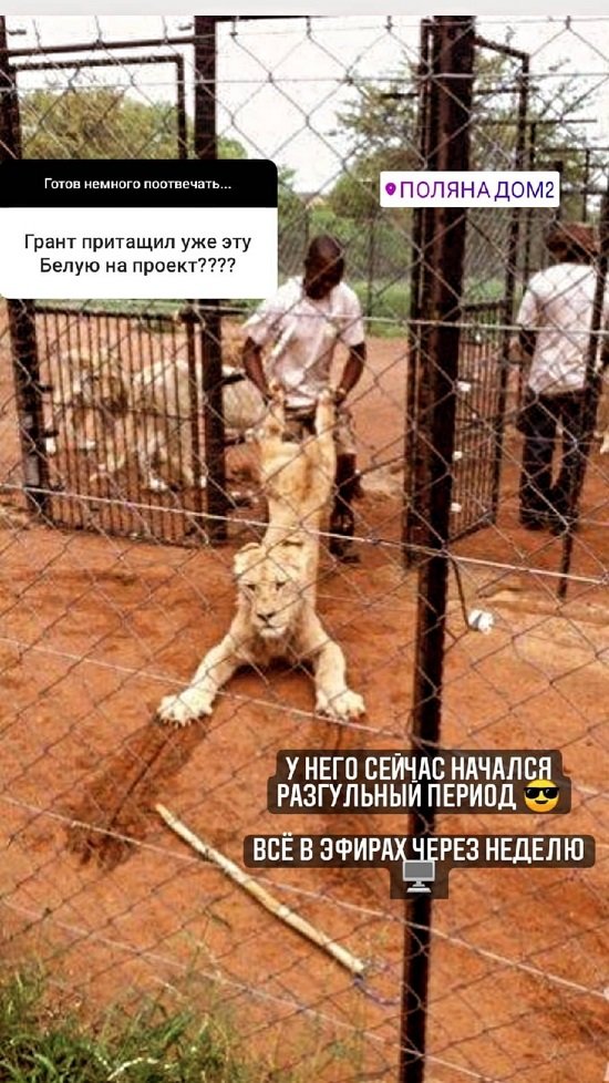 Алекс Ход: Иногда лучше не торопить события... Алекс Ход: Иногда лучше не торопить события...