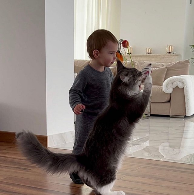 ���� ����� ���������� ����-2 (2.03.2022)