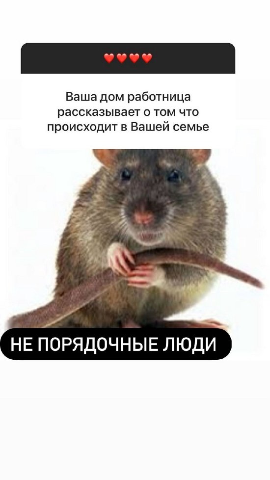 ������ �������: ��� �����-����!