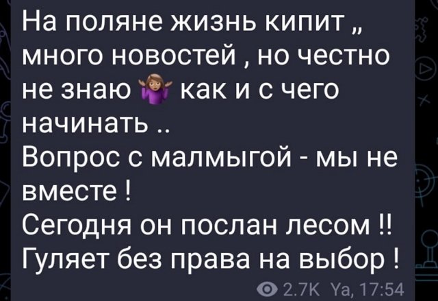 ��� ��������: �� ������ �����!