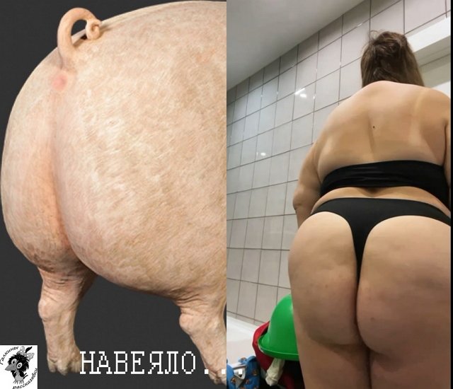 Приколы Дом-2 (19.03.2022) Приколы Дом-2 (19.03.2022)