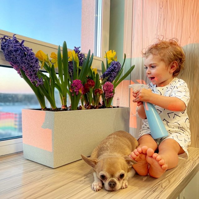 ���� ����� ���������� ����-2 (20.03.2022)